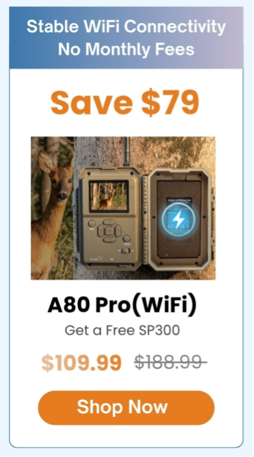 A80 Pro Wi-Fi Trail Camera