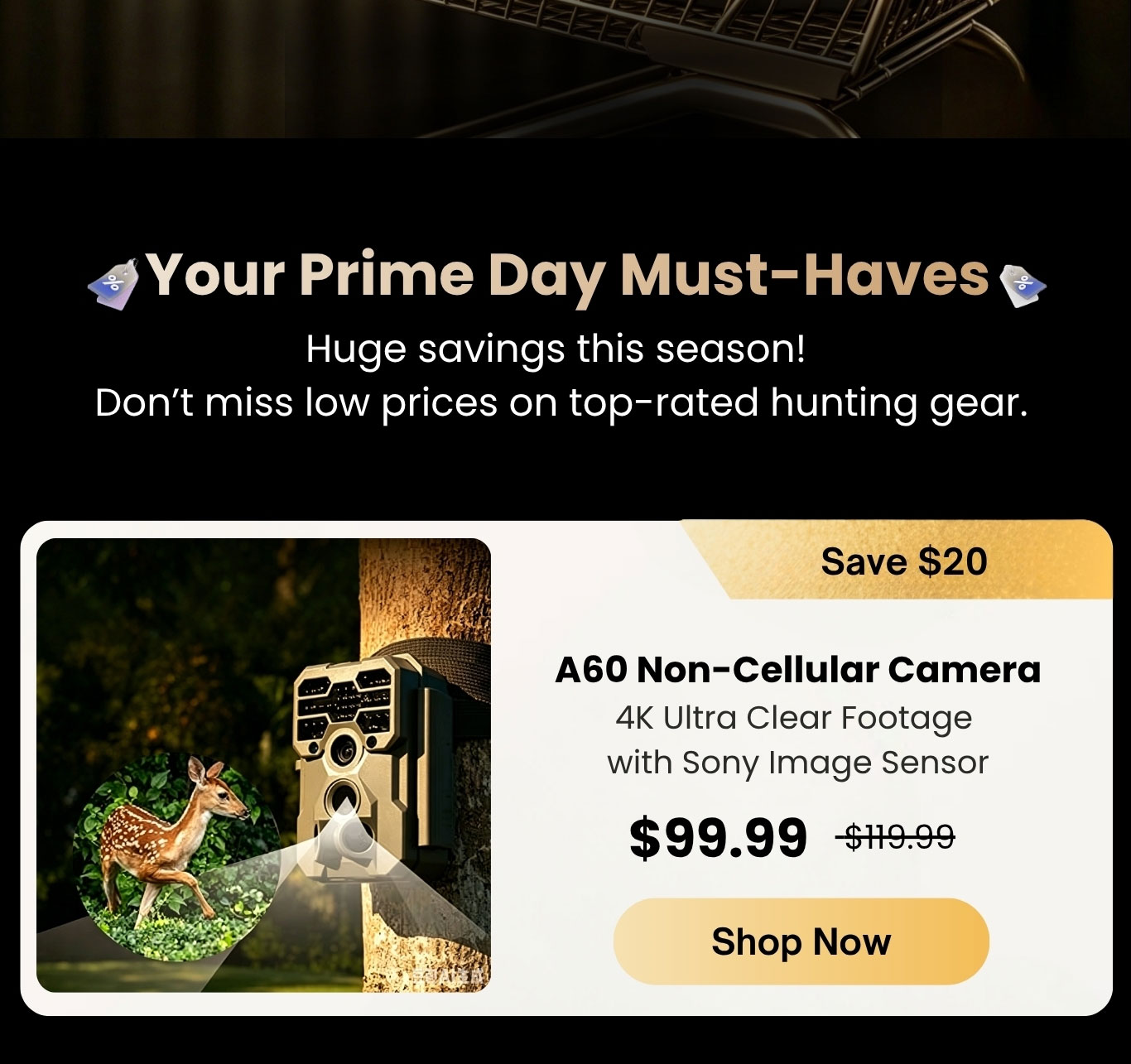 GardePro A60 Non-Cellular Trail Camera