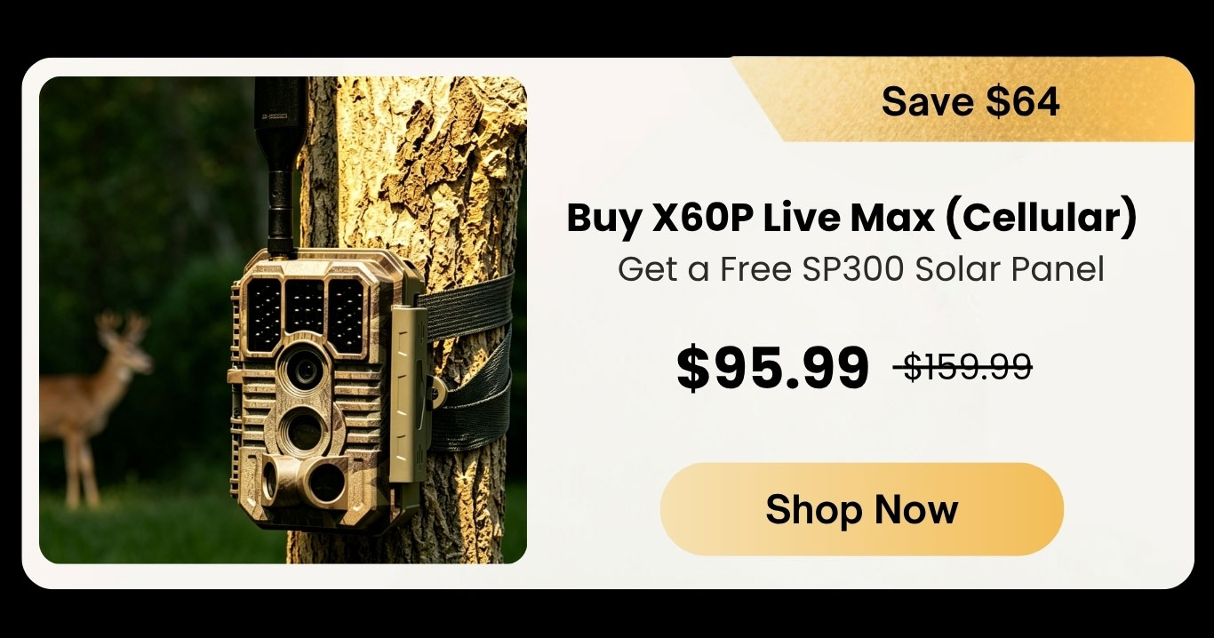 Buy X60P Live Max (Cellular) 